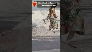 The Global Trade of Common Salt