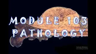 3/ cell injury part 3 pathology dr faisal module 103