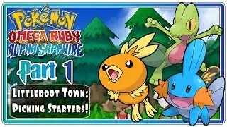 Pokemon Omega Ruby and Alpha Sapphire - Part 1: Littleroot Town | Picking Starters!  (FaceCam)