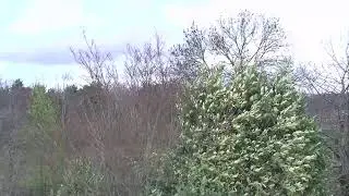 Livestream Andr&eacute; Pypen