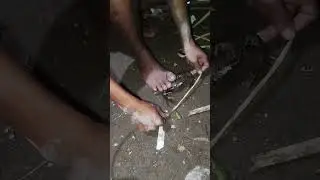 Catching mud crabs at night 😱🦀