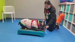 Diggle Conditioning 