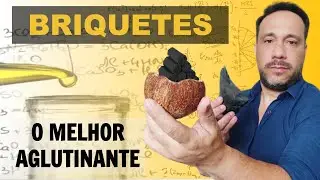 Os 07 Melhores Tipos de Aglutinantes para Briquetes de Carvão Vegetal