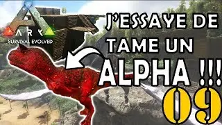 TAME UNE ALPHA CARNOTAURUS !!!! I ARK: Survival Evolved I &Eacute;PISODE 9