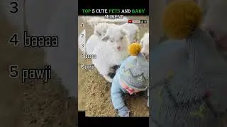 Top 5 Cutest Baby & Pet Moments That Will Melt Your Heart 🐶👶❤️