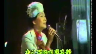 鳳飛飛~寒星(現場)