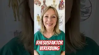 Warum Blutgruppen-Vererbung komplexer ist als du denkst #Rhesusfaktor #Genetik #MedShorts