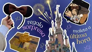 🏰✨ Nos vamos a Disneyland!! 