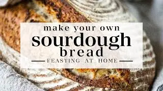 Easy Sourdough Bread (A Beginner's Guide)