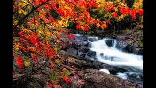 Beautiful Relaxing Music. эта музыка поможет расслабиться слушай и наслаждайся. relax musicop#shorts