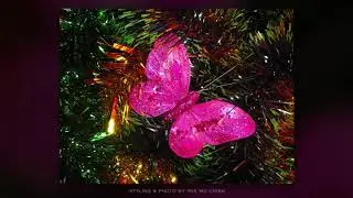 CVETO KOBAL & IRIS WU CHIEN - Christmas Butterfly