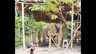 DIY Day 7 - How I Transform OLD LAWN into Backyard Garden with a COSY Coffee Corner | Additions