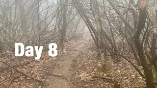 Day #8...&rdquo;The Rain Begins&rdquo; Muskrat Creek Shelter to Long Branch Shelter.  MM 102.2 (21.2)