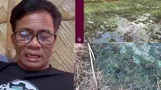 Comments vs zero tillage at sa Glyphosate Reaction natin actual vs theory!