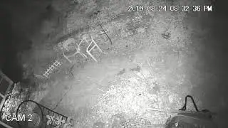 Fox chasing rabbit caught on infrared surveillance camera