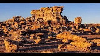 Petrified Forest National Park | 석화림 국립공원  2억 년의 시간 여행