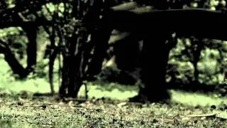 Chaos Walking - Monsters of Men