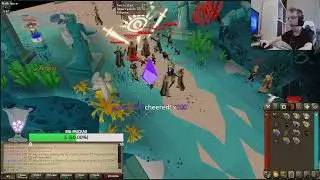 HCIM Gets GOTR Pet On Stream OSRS Runescape