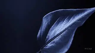[AI] 