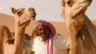 My Camel Rap