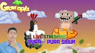 LIVESTREAM HARI INI