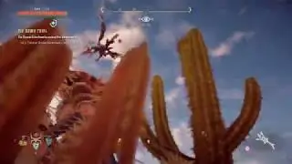 Tie Down Trial - Greatrun Hunting Grounds