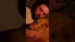 Man and Dog Spend a Quiet Night in a Forest Cabin as a Snowstorm Begins  Cozy ASMR shortBushcraft sh