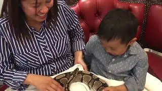 Snake Cafe
