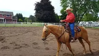 Class 48 Sr Sr Ranch Riding Mark Rutkowski and Docs Golden Assets