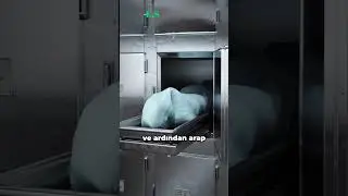 ABD Usame bin Ladin'in cesedini neden denize atı