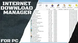 Internet Download Manager