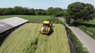 1st cut silage