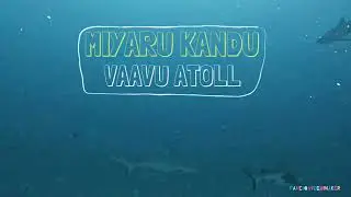 MIYARU KANDU - VAAVU ATOLL