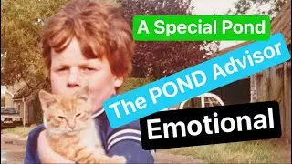 A very special farm pond for The Pond Advisor 