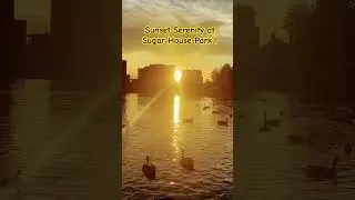 Sugar House Park in SLC  is renowned for its stunning sunset views with Wasatch mountains backdrop