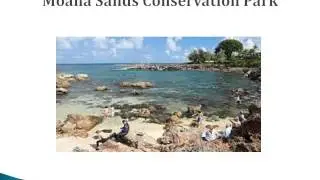 Things to do in  Moana Beach