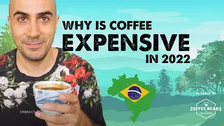Brazil's Coffee History shows us how it's impacting the prices of coffee today