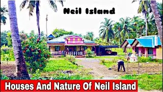 Houses And Nature Of Neil Island | Neil Island |  Andaman Nicobar |