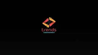 Simple Stylish Intro