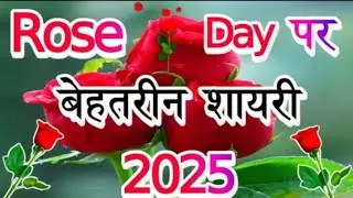 Rose Day Special Love Shayari 2025 🌹 New Love Shayari 🌹 Happy Rose Day Shayari In Hindi 🌹 Shayari