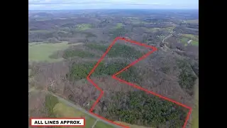 AUCTION - 40.3 Acres FOR SALE in Hiddenite, NC