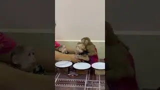 Best Gentle Care!