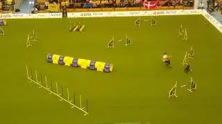 LIN Polona Bonac Large Jumping AWC 2018