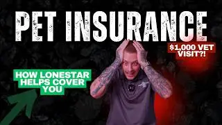 Why Puppy Insurance Matters When Buying a Puppy | Lonestar Pups&rsquo; 10-Year Health Guarantee