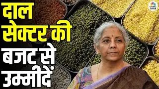 Dal Sector Budget 2026 Expectations: दाल सेक्टर के लिए बजट 2026 से क्या उम्मीदें? | Tax Relief