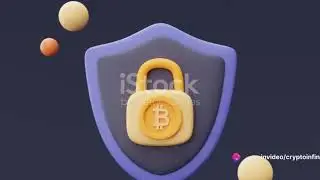 Comparing Monero to Other Privacy-Focused Cryptocurrencies