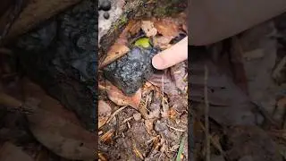 Meteorit gefunden