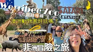 🇦🇺澳洲動物園好玩嗎？🦒墨爾本Werribee ZOO🐪Safari像去了非洲🦧🦏超值得去😻小朋友免費⁉️丁滿主題餐廳超可愛🐨樹熊肥嘟嘟+有南非香腸🇿🇦美味Fish & Chips