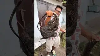 Я попробовал ВАРАНА на Бали, Индонезия🐊🥵🇮🇩 #шорты #индонезия #еда