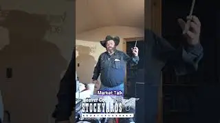 Layne discusses how the market held up this week! #beavercountystockyards #salebarn #stockyards